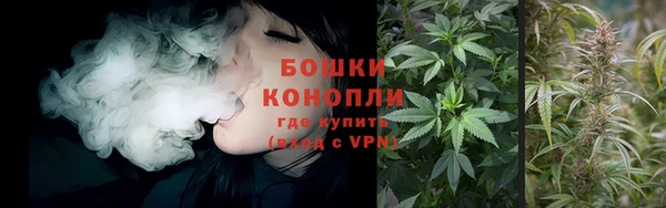 apvp Костерёво