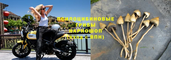 каннабис Коряжма
