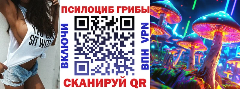 Галлюциногенные грибы GOLDEN TEACHER  Купить  Шенкурск 